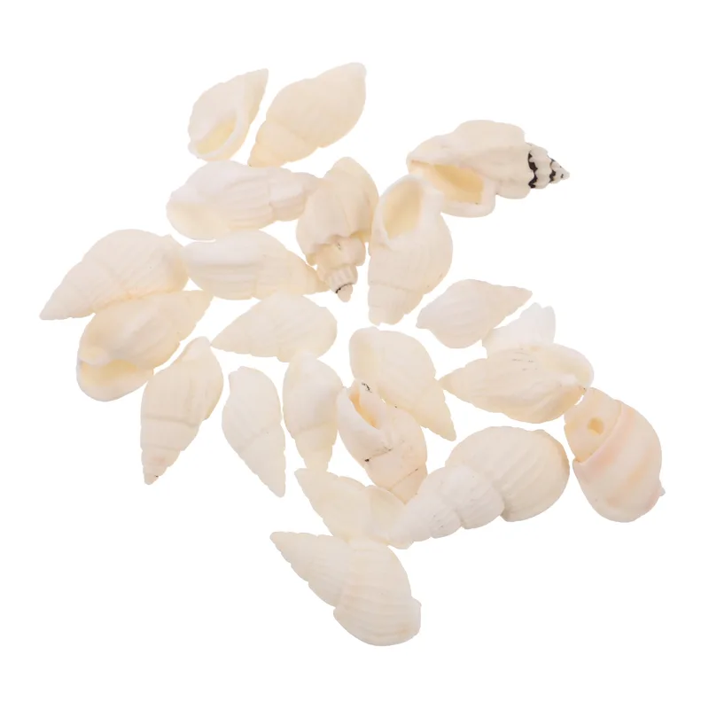 Resin Art Beach Theme - 20 Piezas de Conchas Marinas Espirales