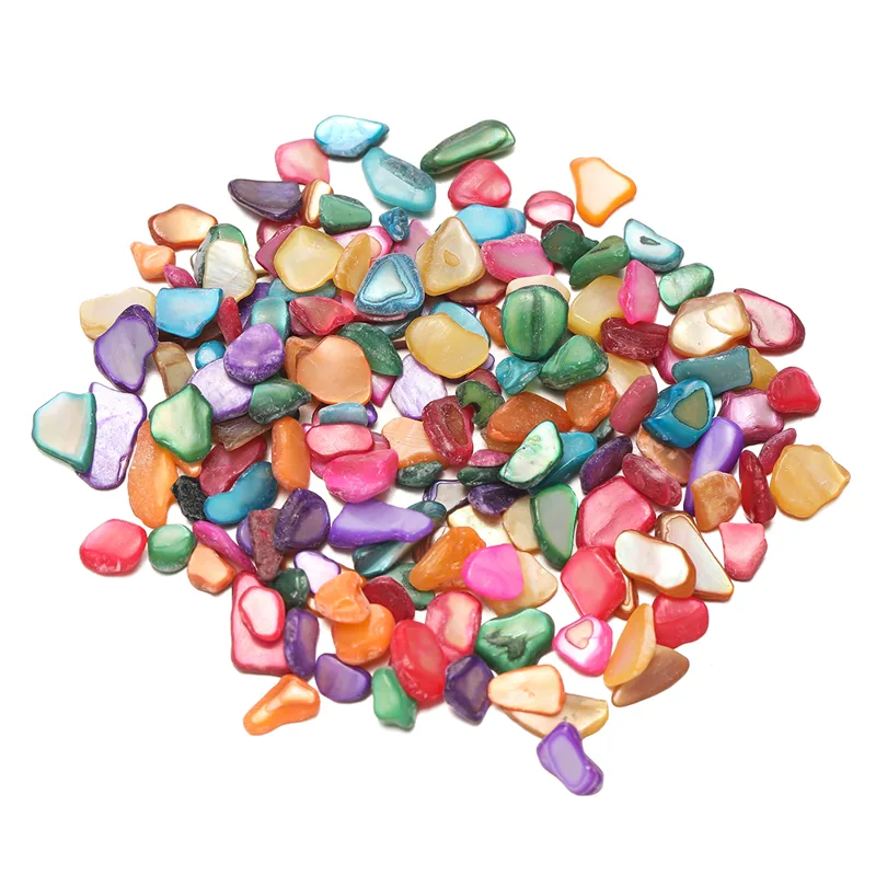 Resin Art Stone - Fragmentos de concha mezclados de 20g