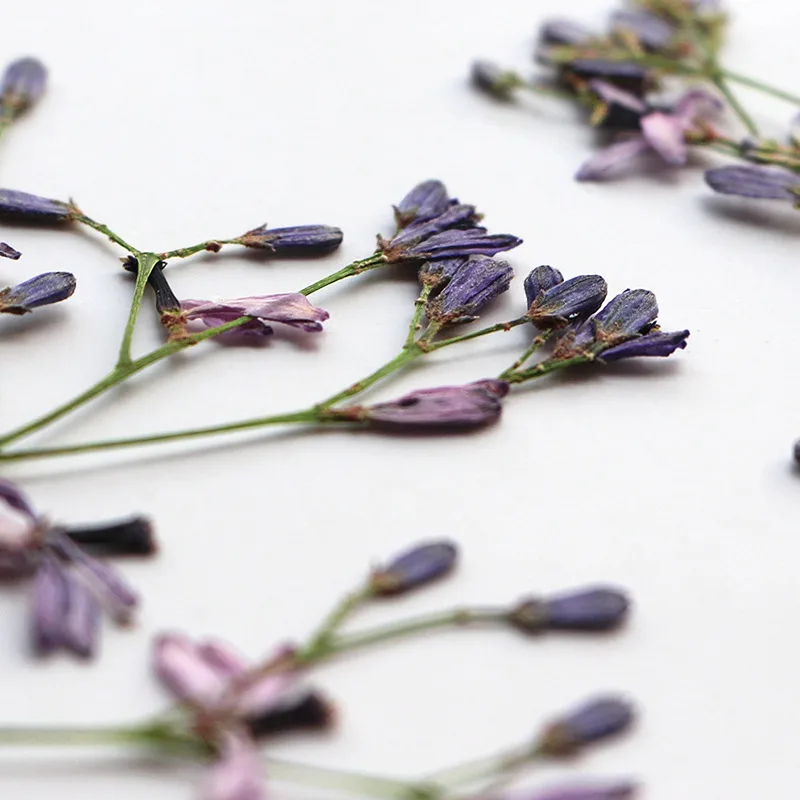 Resin Art And Jewelry - 60 Piezas de Ramas de Flor