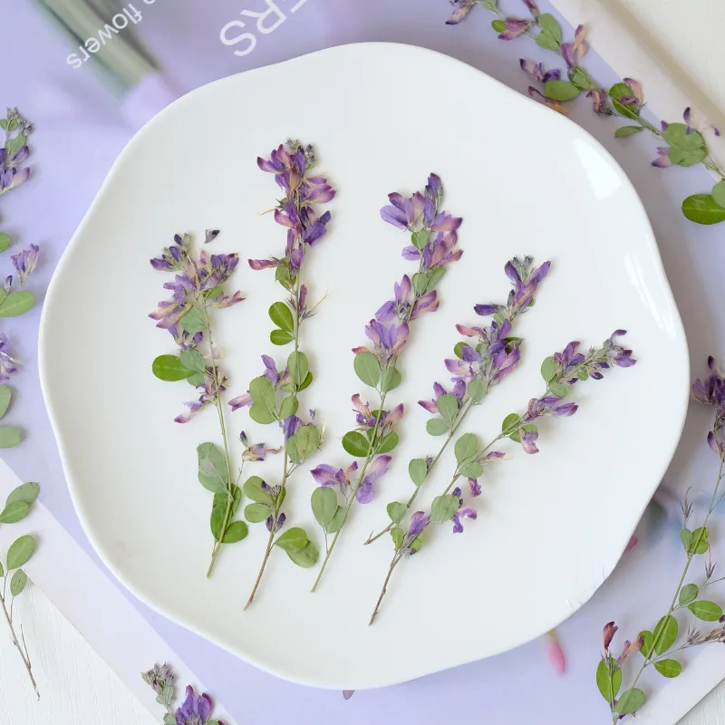 6 piezas, Flores Secas y Prens - Resin Art And Jewelry reseña y precio