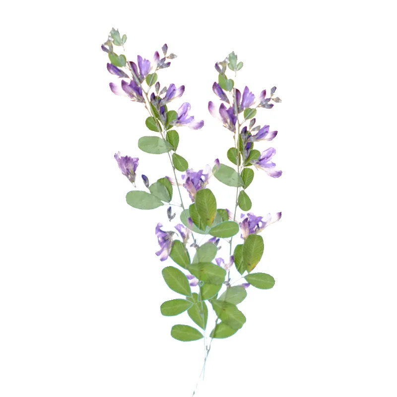 6 piezas, Flores Secas y Prens - Resin Art And Jewelry reseña y precio