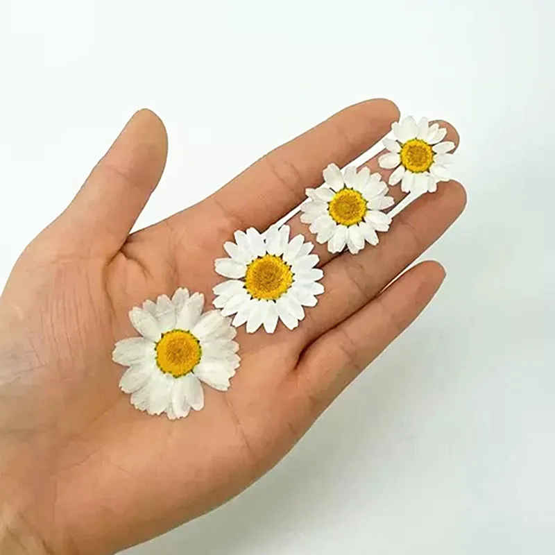 100 Piezas de Crisantemos de C - Resin Art Stone reseña y precio