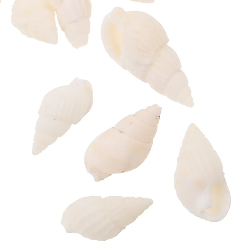 20 Piezas de Conchas Marinas E - Resin Art Beach Theme reseña y precio