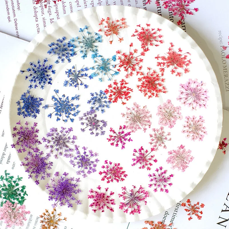 24 piezas, 2-2.5cm, Pétalos de - Resin Art And Jewelry reseña y precio