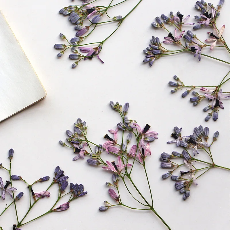 60 Piezas de Ramas de Flor de  - Resin Art And Jewelry reseña y precio