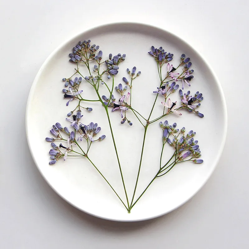 60 Piezas de Ramas de Flor de  - Resin Art And Jewelry reseña y precio