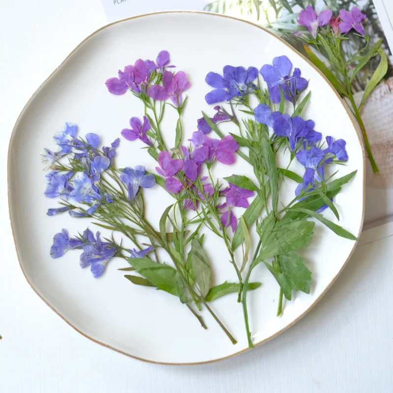 6 piezas/8-13 cm, flores secas - Resin Art And Jewelry reseña y precio