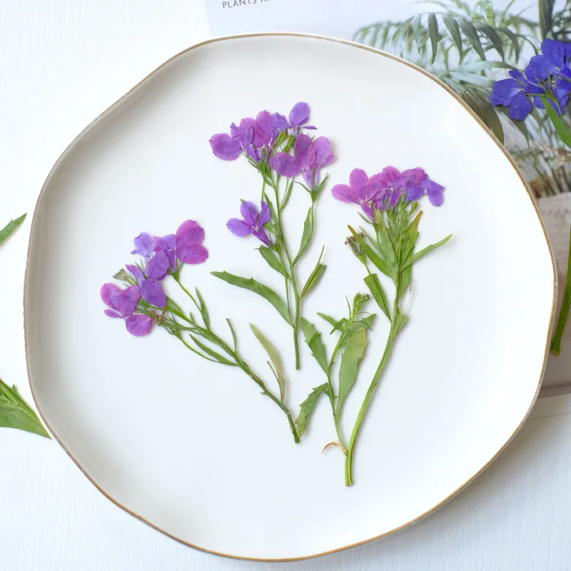 6 piezas/8-13 cm, flores secas - Resin Art And Jewelry reseña y precio